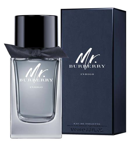 mr burberry men's cologne|mr burberry indigo 50ml.